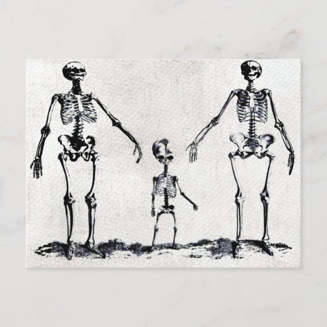 Skeleton Family Postcard Postkarte (Vorderseite)