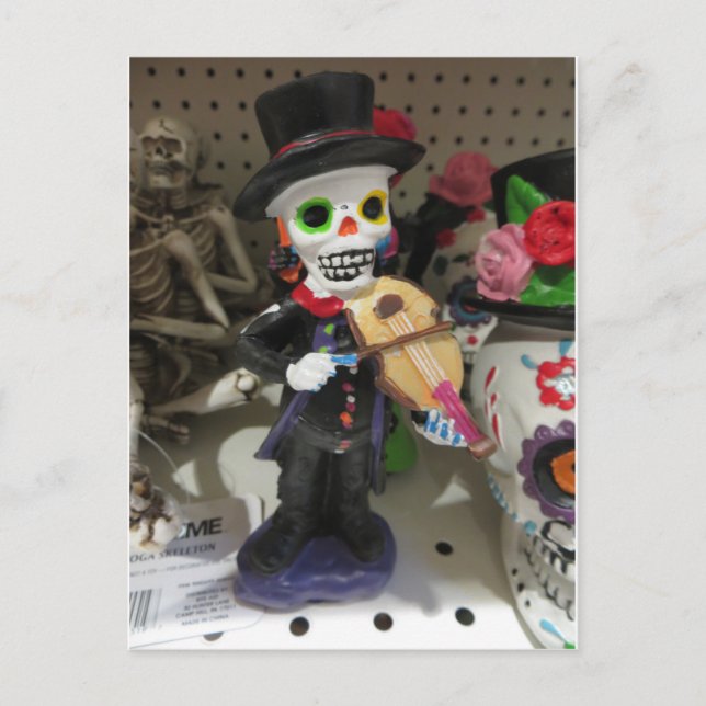 Skeleton Fiddler Postkarte (Vorderseite)