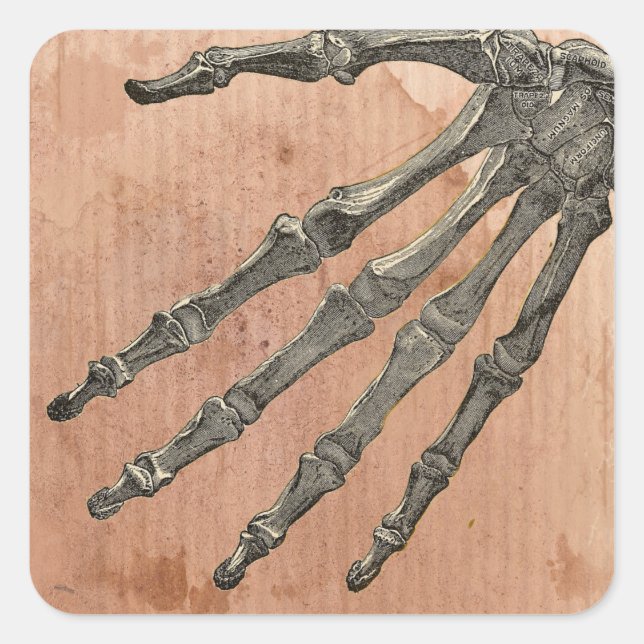 Skeleton Hand Quadratischer Aufkleber (Vorderseite)