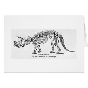 Skeleton Kunstkarte des Triceratops