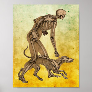 skeleton man and dog human animal anatomy art poster