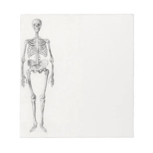 Skeleton Skull Notizblock