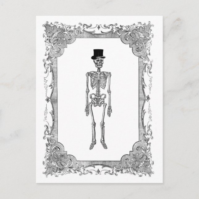 Skeleton Top Hat Vintag Frame Halloween Postcard Postkarte (Vorderseite)