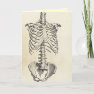 Skeleton Torso Karte