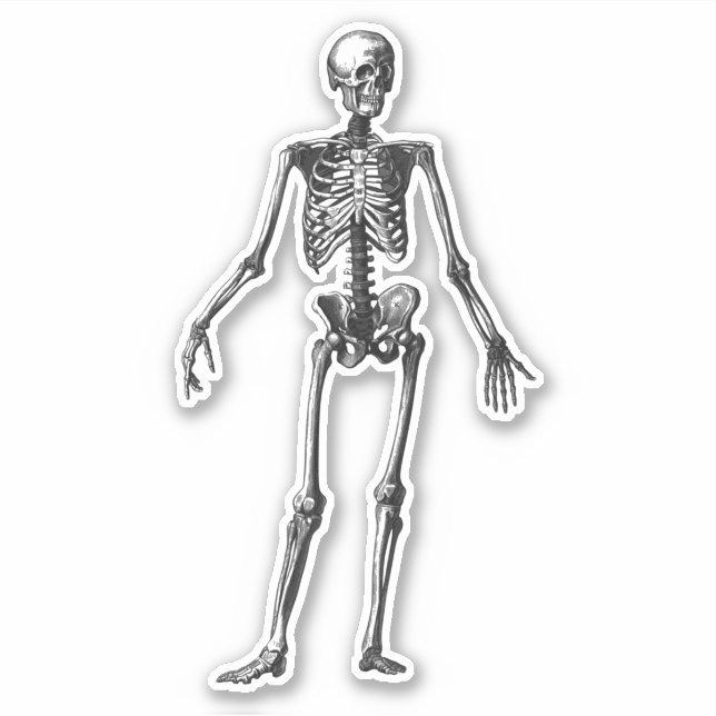 Skelett Aufkleber (Vorderseite)