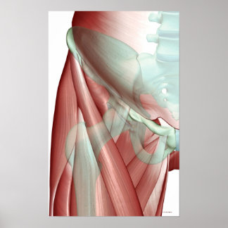 Skelett des Angesagten 3 Poster