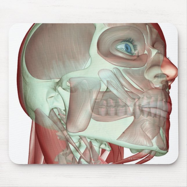 Skelett des Kopfes und des Nackens 3 Mousepad (Vorne)