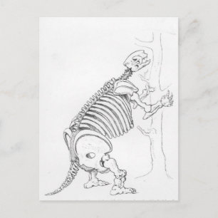 Skelett eines Mylodon Postkarte