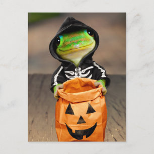 Skelett Einladungspostkarte