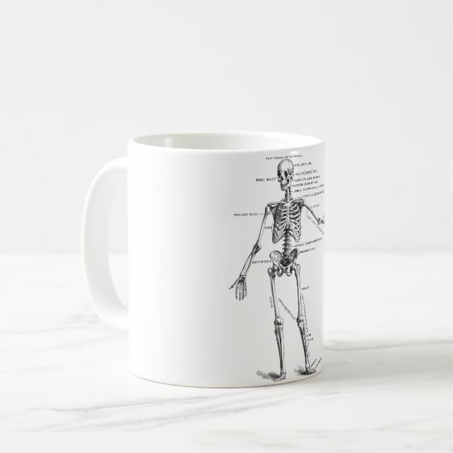 Skelett für Vintage Anatomie Kaffeetasse (Vorderseite Links)