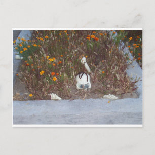 Skelett in Marigolds Postkarte