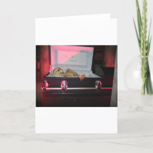 Skelett in Sarg Karte