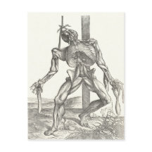 Skelett Leiche Leichnam Anatomie Medizin