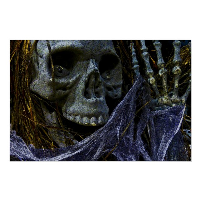 Skelett Poster (Vorderseite)