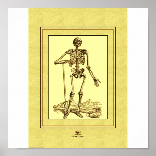 Skelett Poster (Vorne)