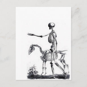 Skelett-Schädel Halloween Tag der Toten Druck Postkarte