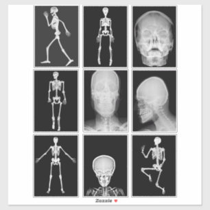 Skelett Skull Human Body XRAYS Collage Sheet Art Aufkleber