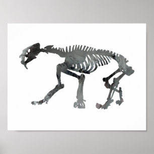 Skelett Smilodon Poster