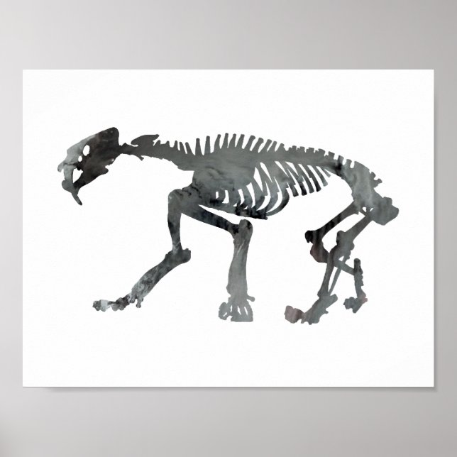 Skelett Smilodon Poster (Vorne)