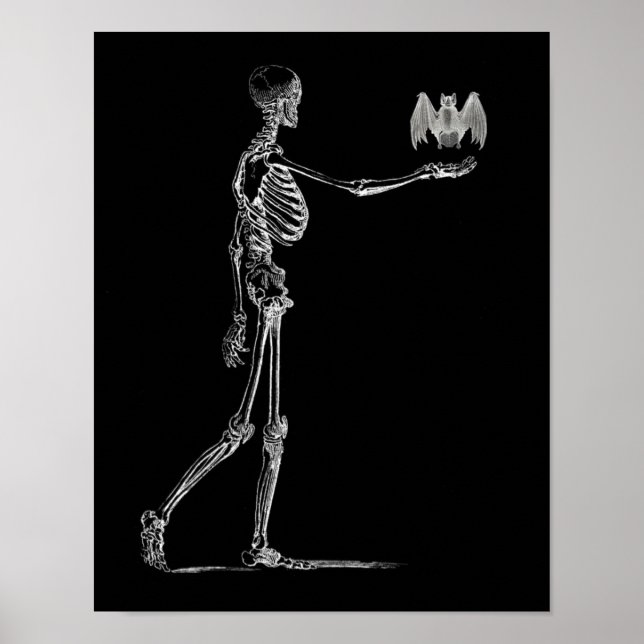 Skelett und Bat-Poster Poster (Vorne)