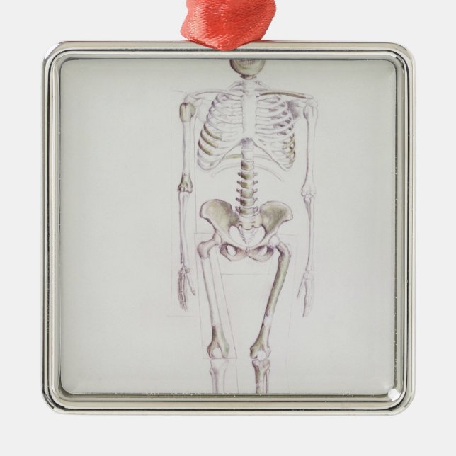 Skelett von Australopithecus africanus Ornament Aus Metall (Vorne)