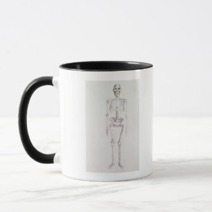 Skelett von Australopithecus africanus Tasse