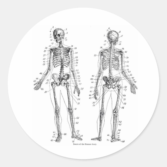 Skelettaufkleber Runder Aufkleber (Vorderseite)