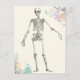 Skelettdiagramm zur Blume der Vintagen Anatomie Postkarte