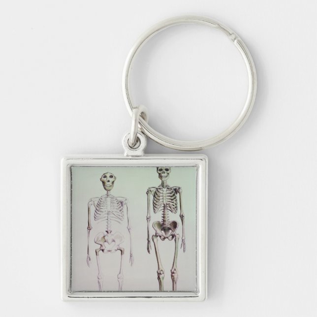 Skelette von Australopithecus Boisei Schlüsselanhänger (Vorne)
