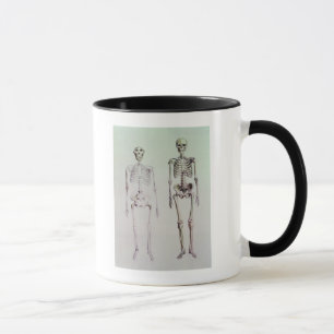 Skelette von Australopithecus Boisei Tasse
