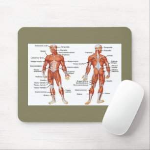 Skelettmuskeldiagramme - Medikamente101 Mousepad