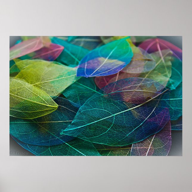 Skeletton-Blätter Poster (Vorne)