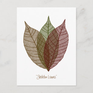 Skeletton-Blätter Postkarte