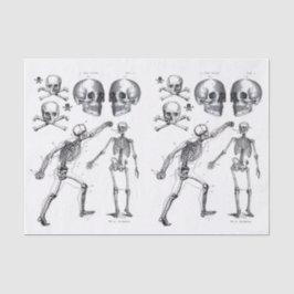 Skelettschädel Skulls Knochen Decoupage Collage Ti Seidenpapier