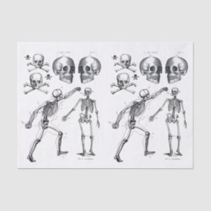 Skelettschädel Skulls Knochen Decoupage Collage Ti Seidenpapier