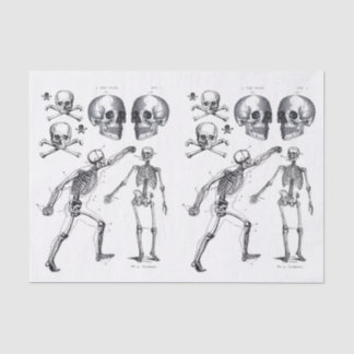 Skelettschädel Skulls Knochen Decoupage Collage Ti Seidenpapier