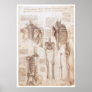 Skelettstudien, Leonardo Da Vinci, 1510 Poster