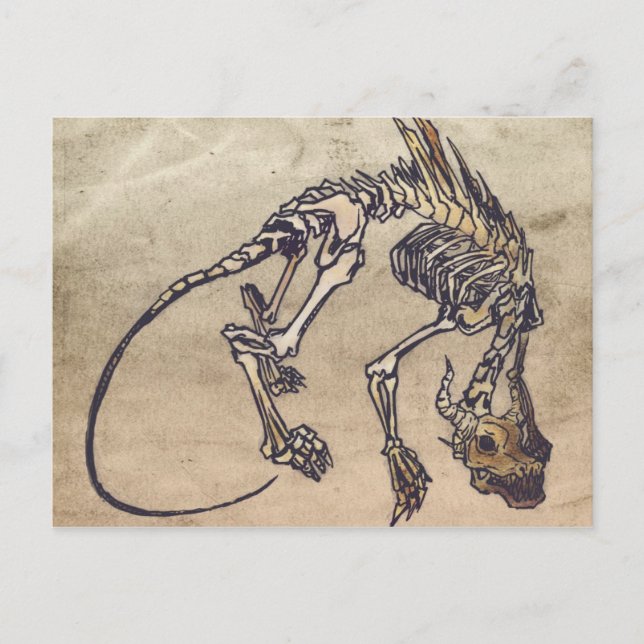 Skellie Postcard Postkarte (Vorderseite)