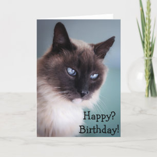 Skeptische oder gruselige Katze: Happy? Geburtstag Karte