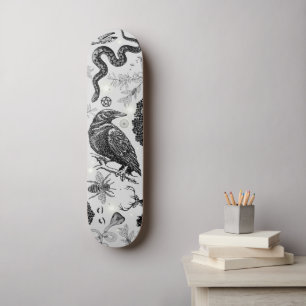 Sketch Collage Skateboard