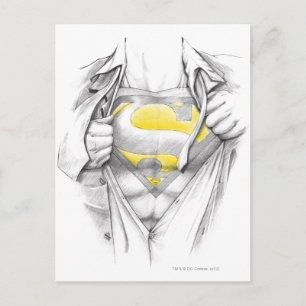 Sketched Chest Superman Logo Postkarte
