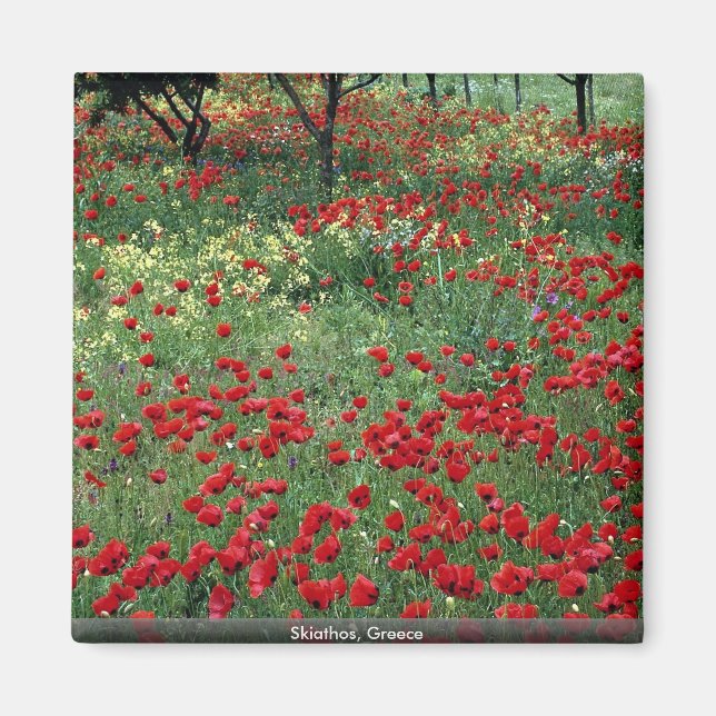 Skiathos, Griechenland Magnet (Vorne)