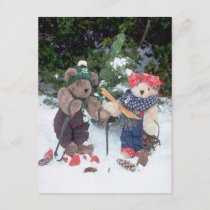 Skibären Postkarte