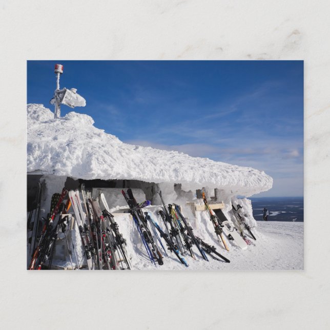 Skier in einem Skigebiet, Lappland Postkarte (Vorderseite)