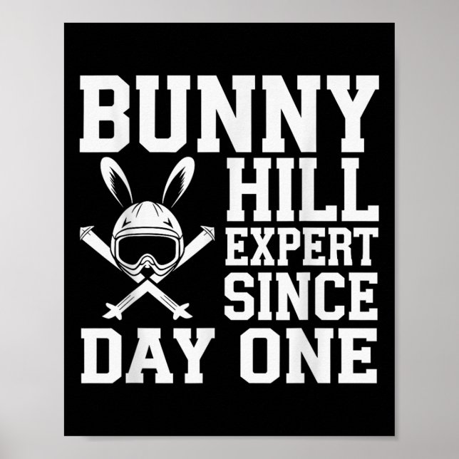 Skifahren und Snowboarden Anfänger Wintersport Ent Poster (Vorne)