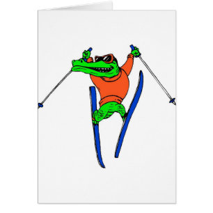 Skifahrer