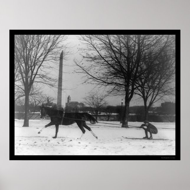 Skiing Behind Horse Washington, DC 1919 Poster (Vorne)