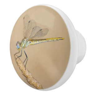 Skimmer Libelle Insekt Weiblich (CC BY 4.0) Keramikknauf