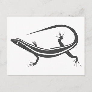 Skink Lizard Postcard Postkarte