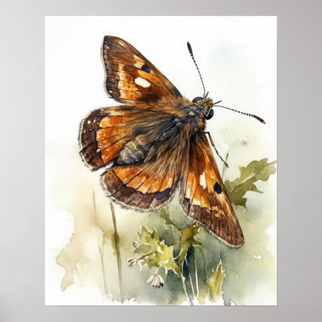Skipper Butterfly Art Print Poster (Vorne)